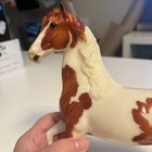 Breyer Breyerfest 2021    tassili    Special Run Regular Ears Glossy Stunning