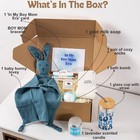 New Mom Gifts  Baby Shower Gifts For Boys  Gift Basket After Blue