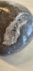 2 Lake Michigan Fossil Cladopora Devonian-aged Northwestern Michigan Unpolished