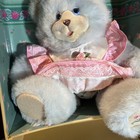 Vtg Fisher-price Briarberry Bear Berry Ann Plush   Wardrobe Armoire Case Hangers