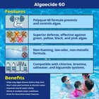 In The Swim Algaecide 60 Plus For Swimming Pools - Non-metallic  Low Odor 