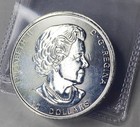 2020 Canada 2 Oz  9999 Silver Twin Maple Leaf Coin -  10 Dollar