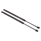  2pcs Rear Window Glass Lift Supports Sg304082  6253