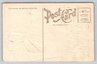 1911 Embossed Edwardian Woman Book Bookmark New Year Antique Postcard
