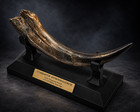 Raptor Fossil  Claw     Museum Quality Replica - Utah Raptor - Velociraptor 