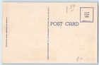 Port-au-prince Haiti Postcard En Route For The Market C1940 s Vintage