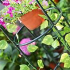 2x Metal Garden Arch Trellis Climbing Plants Wedding Party Arbor Floral Decor