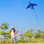 Yongjian Plane Kite For Kids Age 8-12     Easy Fly Outdoor Sport Toy With Handle