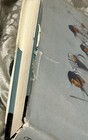 The Life And Art Of Jerome Tiger 1980 First Edition Signed Hc Dj Native American