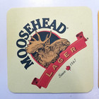 Moosehead Lager Lot Of 10  Beer Coasters 4  X 4 