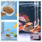 Shrimp Feeding Tube Aquarium Feeder Tube Kit Clear Fish Tank Feeding Dish Set