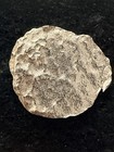 1622 Santa Margarita Shipwreck Silver Cob 2 Reales Fragment Authentic Treasure