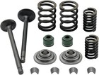Head Intake And Exhaust Valve Seal Spring Kit For Honda Crf80f Crf100f 2004-2013