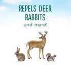 Safer   Brand Critter Ridder   Deer   Rabbit Repellent Concentrate 2 5 Gal 40000sf