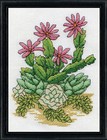 Counted Cross Stitch Kit   Design Works Cactus  eriosyce   dw3292 Sale 