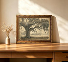 Vintage Gold Framed Tree Wall Art  Antique Oak Tree Forest Landscape Canvas Prin