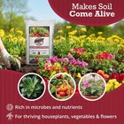 Brut All Natural Organic Worm Castings Soil Builder  30 Pound Bag