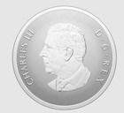 2025 Canada 1 Oz Pure Silver The Remembrance Day Proof Coin