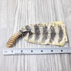 Rattlesnake Rattle With Skin Attached   4354       Taxidermy Diamondback Sidewin
