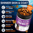 Omega 3 Skin And Coat Supplement For Dogs 200 Chews Dog Fish Oil Supplements Wit