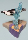  Qualia Join Collection Sunshine Aquarium Jackass African Penguin Us Seller New