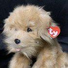 Ty Classic Plush Colonel Dog Stuffed Animal 8  2006 Beanie Babies Guc 