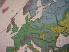 School Wall Map Beautiful Old World Vegetation 79 7 8x48 13 16in Vintage   1940