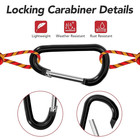 New 10 20 30 40 Carabiner D Shape Spring Clip Snap Key Hook Keychain Buckle