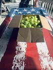 Lowest Priced Used Tennis Balls On Ebay - Box Of 100 Only    20  - Limit 2 Boxes
