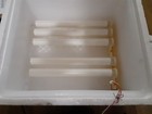 16 Egg Hatching Incubator - Fully Automatic - Adjustable Turning Digital Control