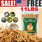 11 Lbs Bulk Dried Mealworms For Wild Birds Food Blue Bird Chickens Hen Treats Us