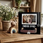 Pet Memorial Picture Frame Dog Cat Collar Holder 4x6 Photo