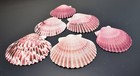 Set Of 6 Small Purple Pecten Purpuratus Shells  1 1 2  - 2   Coastal Art   Craft