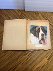 Vintage 1940s Large Scrapbook Filled W  Mixed Dog Pictured   Highschool Papers