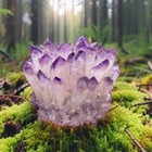Rare Raw Light Purple Phantom Amethyst Cluster Crystal Geode Specimen Decoration