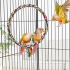 Bird Rope Swing Colorful Perch Climbing Toy For Parrots Medium  10 4 Inch  