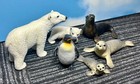 6 Types Of Animals In The Schleich Arctic  e4e4f0