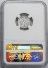 2006 W  10 American Platinum Eagle Burnished Ms70 Ngc 951227-6