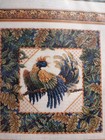 Teresa Wentzler Counted Cross Stitch Kit  brilliant Plumage   New Sealed