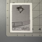 Vintage 90   s    tony Hawk    Skateboard Sticker  Airwalk Shoes