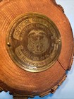 1938 Hurricane Flood Official Relief Relic Hartford Ct Wood Branch Cross Section