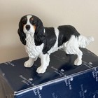 Border Fine Arts Cavalier King Charles Spaniel  A1159 Boxed Dogs   Pups Galore