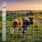 6ft X 328ft Galvanized Poultry Net Metal Chicken Wire Mesh Fencing Protection