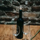 5 Pcs Stainless Steel Bottle Pourer Oil Spout Cork Design Wine Stoppers