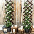 Expandable Wooden Garden Trellis 13x68 Lattice For Climbing Plants Outdoor