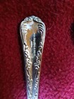W m  Rogers   Son Enchanted Rose Silverplated Flatware Silverware 51 Pc Set 2025