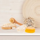 Arvin All Natural Dry Brushing Body Brush Premium Gift Set W  Soaps - Exfoliate