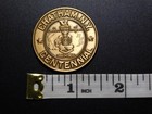Token Medal 1869 1969 Chatham Ny Centennial Commemorative Coin