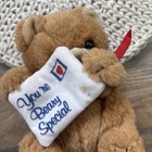 Vintage Russ Teddy Bear You   re Beary Special Plush 6      read 