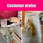 Xxlarge Orthopedic Memory Foam Dog Bed Waterproof Pet Sofa Couch Removable Cover